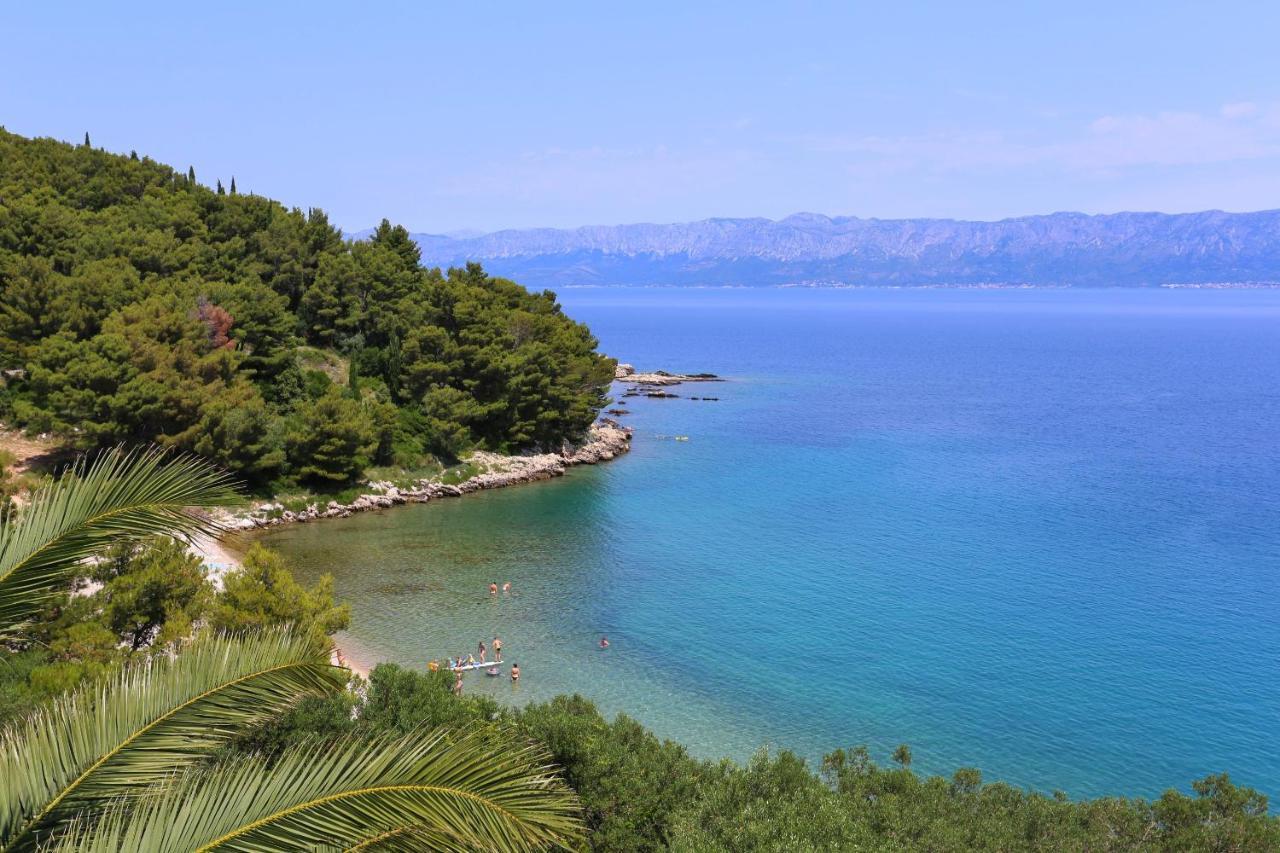Apartments And Rooms By The Sea Trpanj, Peljesac - 258 Exteriör bild