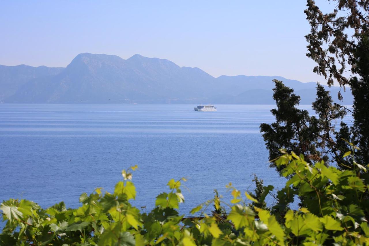 Apartments And Rooms By The Sea Trpanj, Peljesac - 258 Exteriör bild
