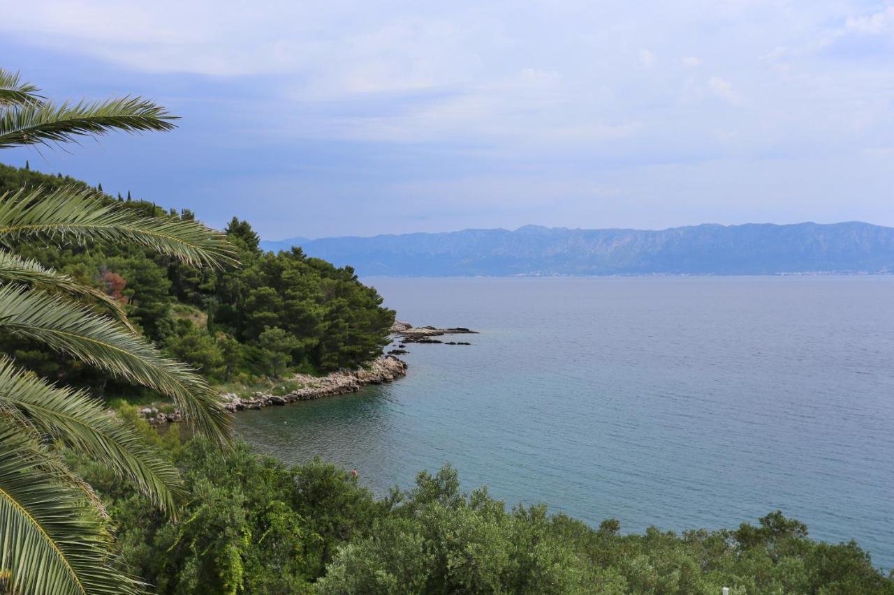 Apartments And Rooms By The Sea Trpanj, Peljesac - 258 Exteriör bild